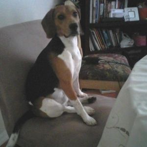 Meet your Posher, Leonor